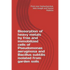 Biosorption of heavy metals by free and immobilized cells of Pseudomonas aeruginosa and Bacillus subtilis isolated from garden soils - Paperback