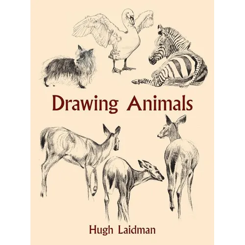 Drawing Animals - Paperback