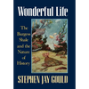 Wonderful Life: The Burgess Shale and the Nature of History - Hardcover