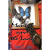 Manuel and the Lady - Paperback