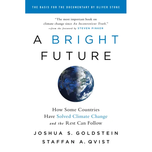 A Bright Future: How Some Countries Have Solved Climate Change and the Rest Can Follow - Paperback