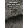 Porosity Between Politics and the Economy - Hardcover