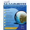 Math Mammoth Introduction to Fractions - Paperback