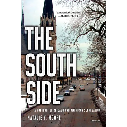 The South Side: A Portrait of Chicago and American Segregation - Paperback