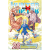 Hunter X Hunter, Vol. 28: Regeneration - Paperback