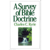 A Survey of Bible Doctrine - Paperback