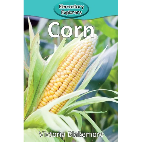 Corn - Paperback