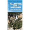 Yellowstone Trees & Wildflowers: A Folding Pocket Guide to Familiar Plants of the Yellowstone Area
