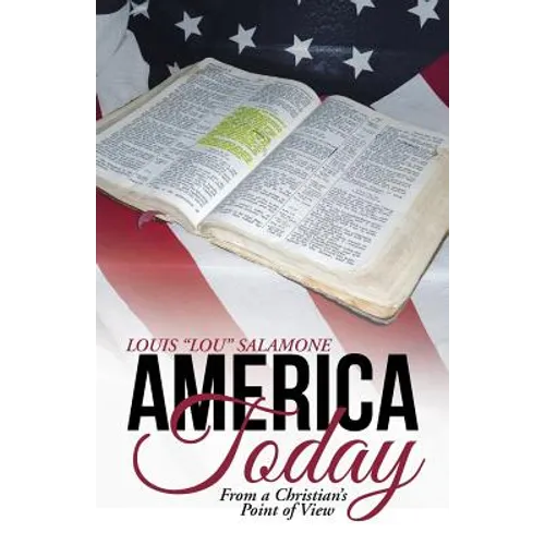 America Today: From a Christian's Point of View - Paperback