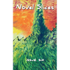 Novel Slices Issue 6 - Paperback