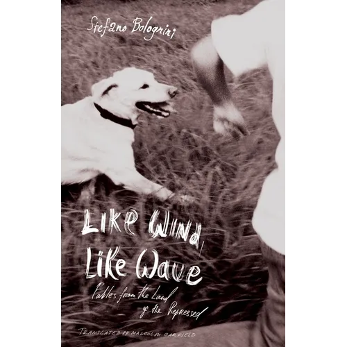 Like Wind, Like Wave - Paperback