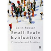 Small-Scale Evaluation: Principles and Practice - Paperback