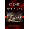 St. John and the Apocalypse - Paperback