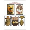 Santa Rosa History in Postcards, Photos, Trade Cards, Collectibles, Memorabilia & Breweriana - Paperback