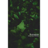 Ruination - Paperback