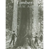 Timber: Toil and Trouble in the Big Woods - Paperback