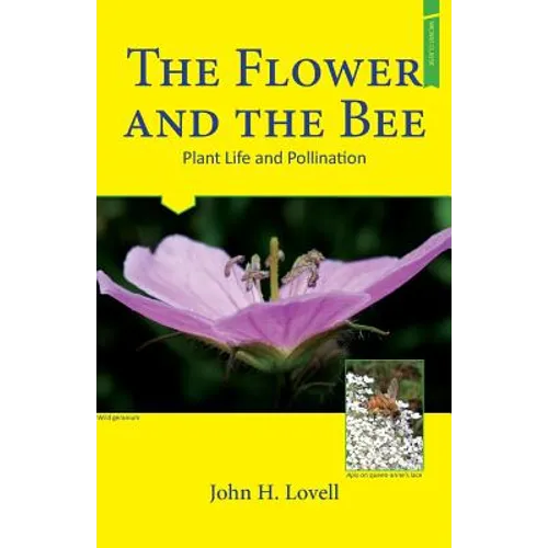 The Flower and The Bee - Paperback