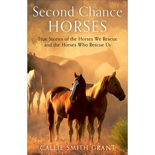 Second-Chance Horses - Hardcover