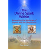 The Divine Spark Within: Excavating the Mysteries of Sophia and the Deep Christ - Paperback