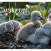 Wake Up! - Hardcover