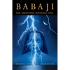 Babaji: The Lightning Standing Still (Special Abridged Edition) - Paperback