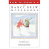 Not Nice on Ice - Paperback