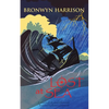 Lost At Sea - Paperback