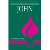 John: Believers Church Bible Commentary - Paperback
