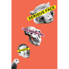 Serious Face: Essays - Hardcover