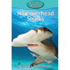 Hammerhead Sharks - Paperback