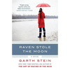 Raven Stole the Moon - Paperback