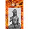 Karma Debit, clear it, before you pay it: Cleaning Past Karma (Karma Debt) - Paperback