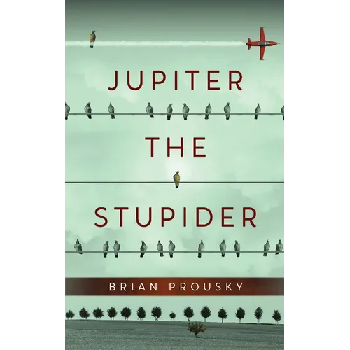Jupiter the Stupider - Paperback