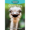 Ostriches - Paperback