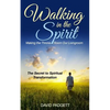 Walking in the Spirit: Making the Throne Room Our Livingroom, the Secret to Spiritual Transformation - Paperback