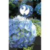Think About It Volume VI: A Collection of Essays - Paperback