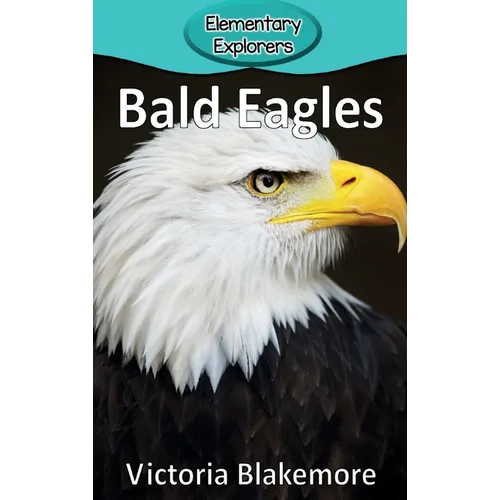 Bald Eagles - Hardcover