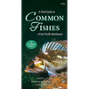 A Field Guide to Common Fishes of the Pacific Northwest - Paperback