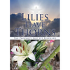 Lilies Have Thorns - Paperback