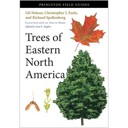 Trees of Eastern North America - Paperback