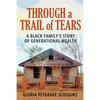 Through a Trail of Tears: A Black Family's Story of Generational Wealth - Paperback