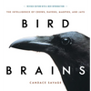 Bird Brains: The Intelligence of Crows, Ravens, Magpies, and Jays - Paperback