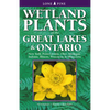 Wetland Plants of the Great Lakes and Ontario - Paperback