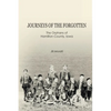 Journeys of the Forgotten: The Orphans of Hamilton County, Iowa - Paperback