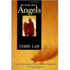 The Truth about Angels: Angelic Encounters from a Biblical Perspective - Paperback