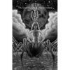 Lil Az H Az Lil: The Grimoire of the Arachnean Goddess - Paperback