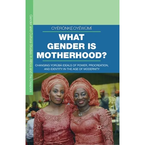 What Gender Is Motherhood?: Changing Yorùbá Ideals of Power, Procreation, and Identity in the Age of Modernity - Paperback