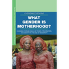What Gender Is Motherhood?: Changing Yorùbá Ideals of Power, Procreation, and Identity in the Age of Modernity - Paperback