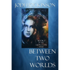 Between Two Worlds: A fantasy novel of time travel and shape shifting - Paperback