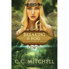 Breaking the Fog: The Essence Chronicles Book One - Paperback